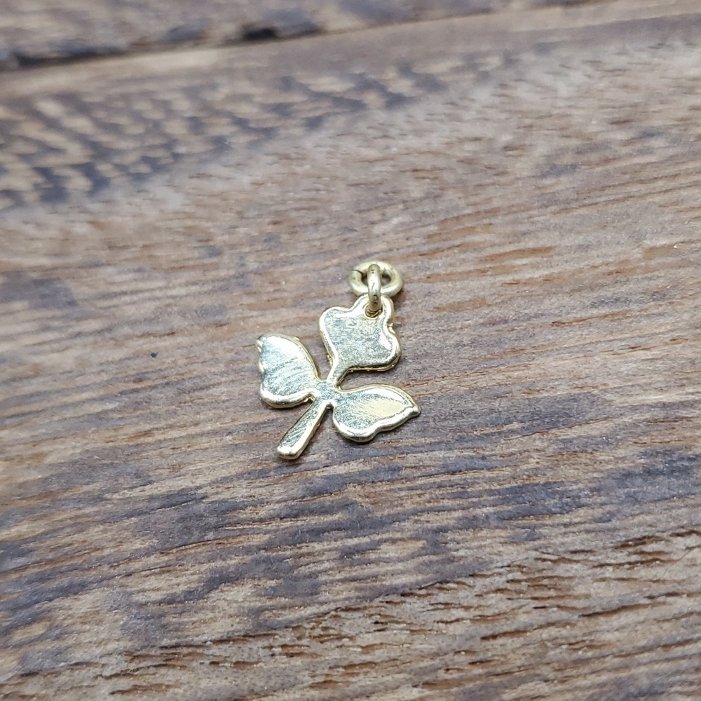 Blooming spring rose‎ charm delicate dainty femme